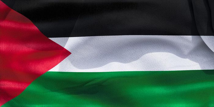 Palestine flag - realistic waving fabric flag