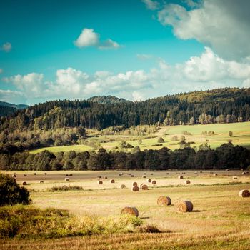 Hay bail harvesting in golden field landscape