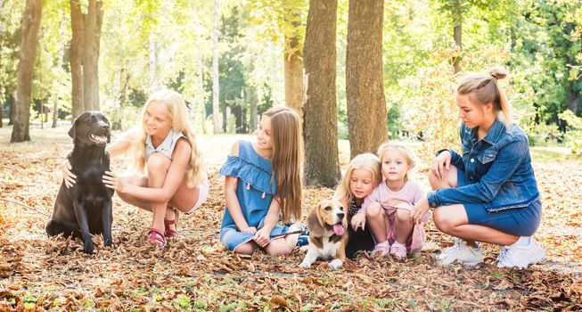 Pretty little blond kids and girl sitting with dogs in a sunshine autumn park