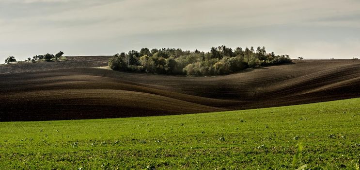 Bright landscape of green field and sunshine plowed dark ground on the slopes of Moravian land
