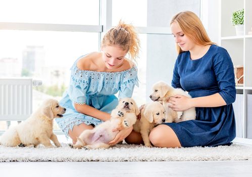 Lovely girls play with retriever puppies indoors