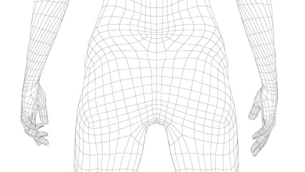 Wireframe female body. Close-up view. Anatomy concept. 3d illustration