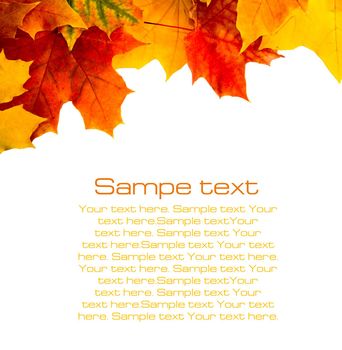 Autumn card of colored leafs on white background