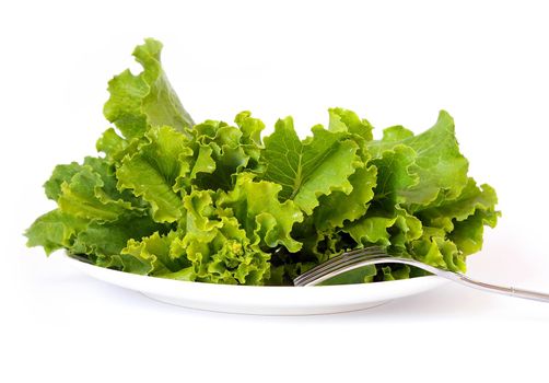 Lettuce on a white plate and a fork