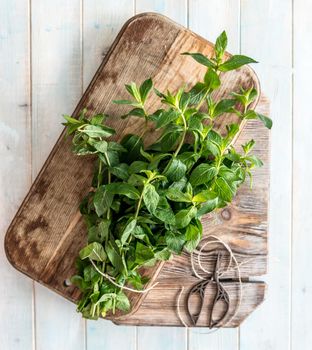 Rustic big cutting board with leaves of mint, small scissors next to them, topview