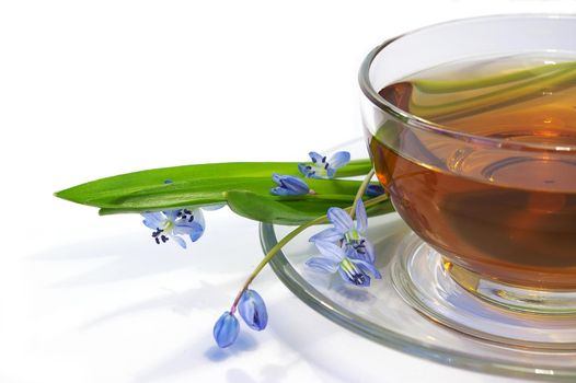 Tea in a transparent cup and flowers on a white background