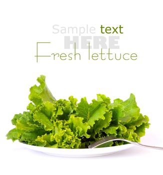 Lettuce on a white plate and a fork