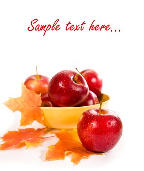 Apples in a yellow bowl on white