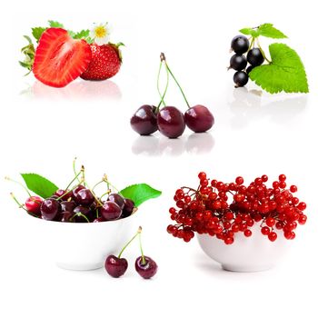 collage of pictures of berries isolated on white