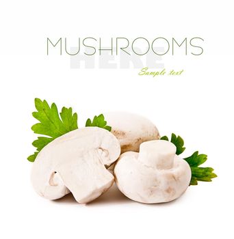 fresh raw mushrooms on a white background