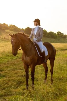 Equestrian sport. Young woman riding horse on dressage advanced test. Horse walk in summer