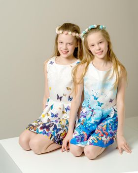 Two beautiful little Caucasian girls in the studio. The concept of happy people, children.