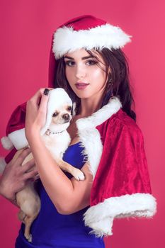 Woman with long brunette hair in xmas dress with cute puppy. Girl and chihuahua dog in santa hats on red background. Christmas, new year, holiday celebration.