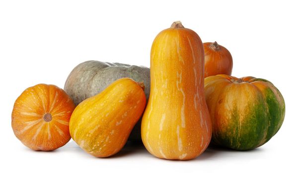 Pumpkins isolated on white background, studio shot close up