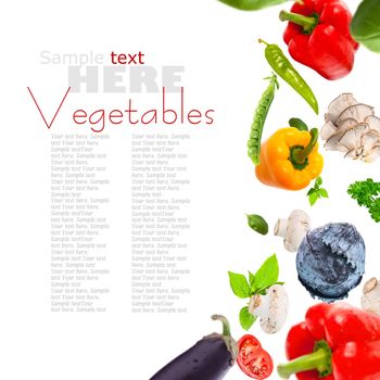 healthy food ingredients on a white background