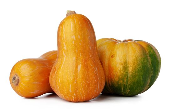 Pumpkins isolated on white background, studio shot close up