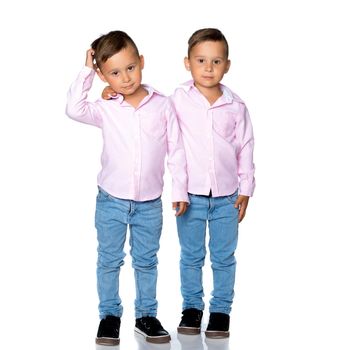 Two cute little boys stand in front of the camera in full growth. The concept of a happy childhood, the development of a child in the family. Isolated on white background.