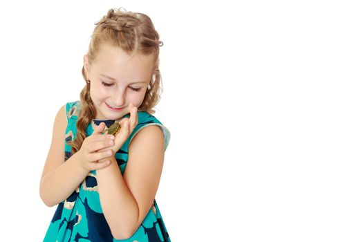 Charming little girl holding in hands a small turtle. Close-up.Isolated on white background.