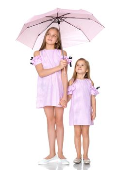 Lovely little girls hid under the umbrella. The concept of a happy childhood, family vacation. Isolated on white background.