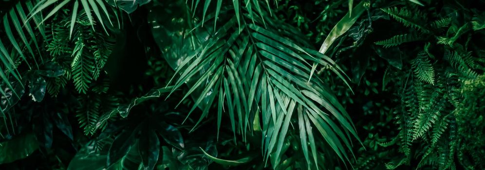 Tropical leaves as nature and environmental background, botanical garden and floral backdrop, plant growth and landscape design.