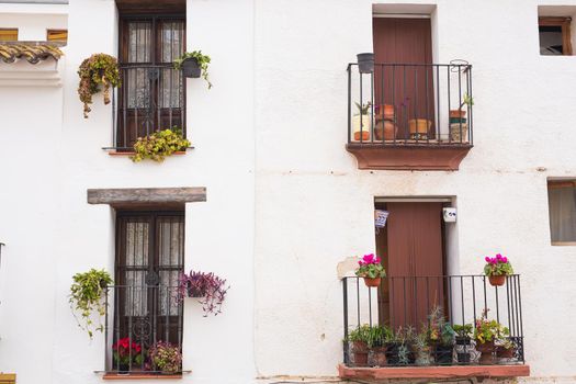 Classic balconies with flowers and green plants