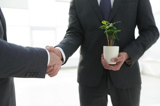 close up.handshake business people . eco-business concept