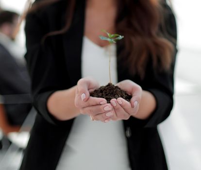 close up. business woman holding a fresh sprout.the concept of ecological business