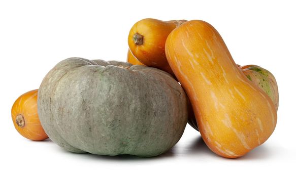 Pumpkins isolated on white background, studio shot close up