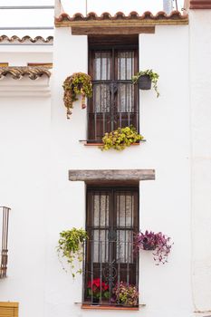 Classic balconies with flowers and green plants