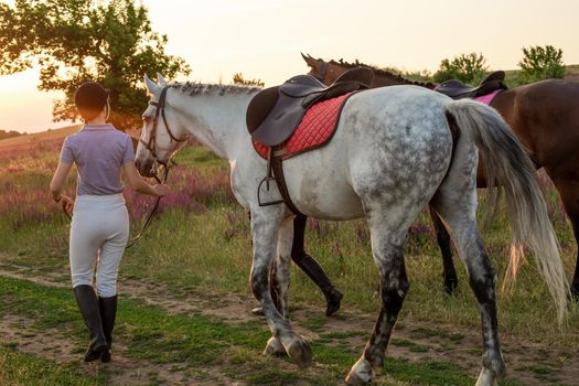 Two woman and two horses outdoor in summer happy sunset together nature. Taking care of animals, love and friendship concept.