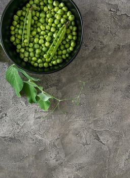 Black bowl with freshly harvested green peas, some shells, textured background, topview, copyspace