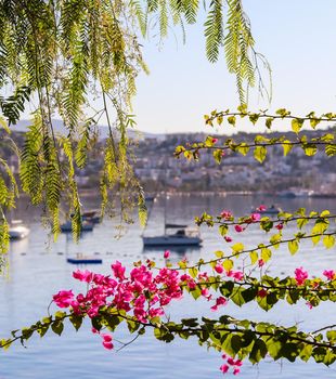 Summer vacation and coastal nature concept. Purple bougainvillea flowers on the background of the sea and boats. Bitez Bodrum Turkey.