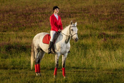 The sportswoman on a horse. The horsewoman on a red horse. Equestrianism. Horse riding racing. Rider on a horse.