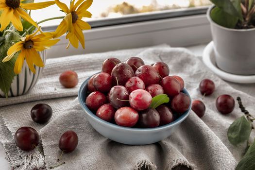 On the windowsill there is a blue ceramic plate with fresh ripe plums on a napkin. Next to it is a vase with yellow flowers. Front view, close-up.
