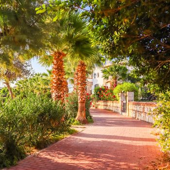 A beautiful street of a small town with tropical plants on the Mediterranean coast