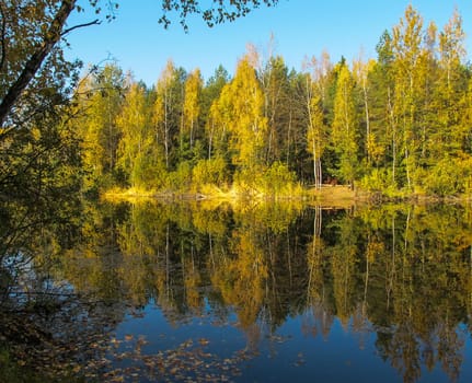 Autumn forest with a beautiful lake in sunny day. Bright colorful trees reflected in calm water with fallen leaves