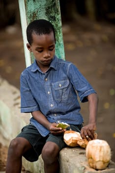 a little boy in jean's shirt sitting on a fence and looking at his coconut.