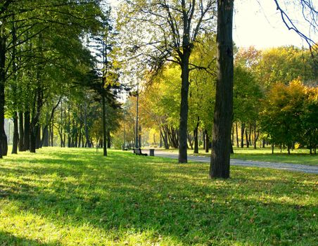 Beautiful golden autumn in the park