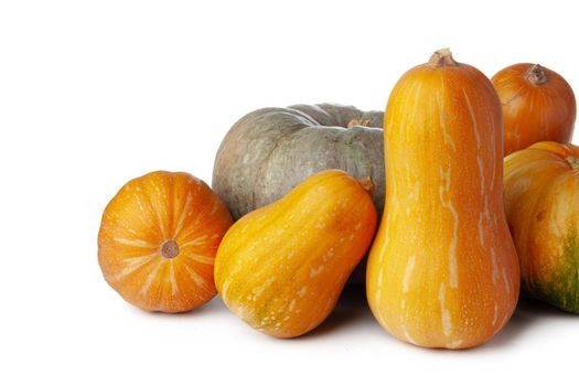 Pumpkins isolated on white background, studio shot close up