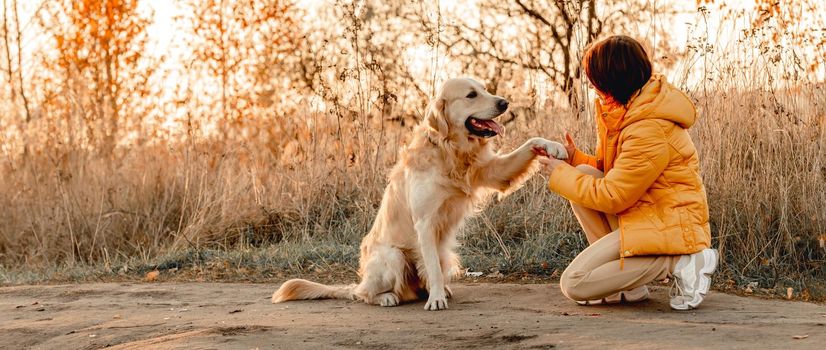 Girl with golden retriever dog high five with sunset light outdoors. Young woman with doggy pet labrador at nature at autumn