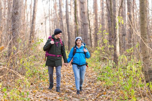 adventure, travel, tourism, hike and people concept - smiling couple walking with backpacks over autumn natural background.