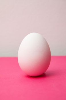 Single white oval whole chicken egg placed on bright pink background in studio