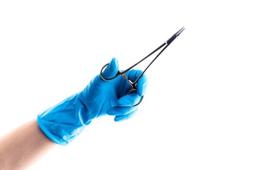 Hand in blue glove holding dental metal instrument isolated on white background