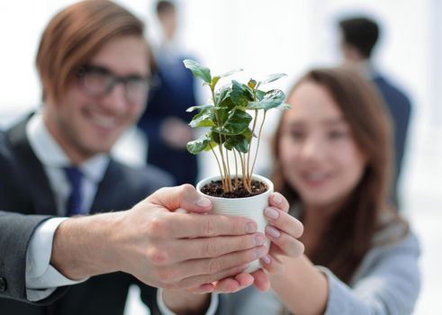 seedling in the hands of young business people .The concept of ecological consciousness
