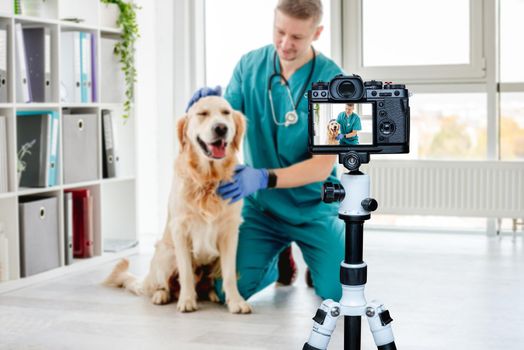 Veterinarian stroking golden retriever dog after appointment in clinic. Blogger profession. Shooting with a camera for a blog