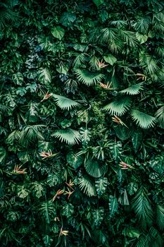 Tropical leaves as nature and environmental background, botanical garden and floral backdrop, plant growth and landscape design.