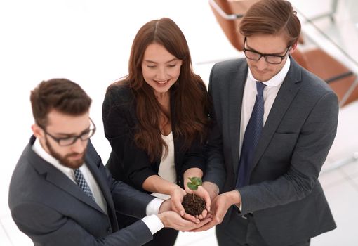 green sprout in the hands of a young business team.eco-business concept