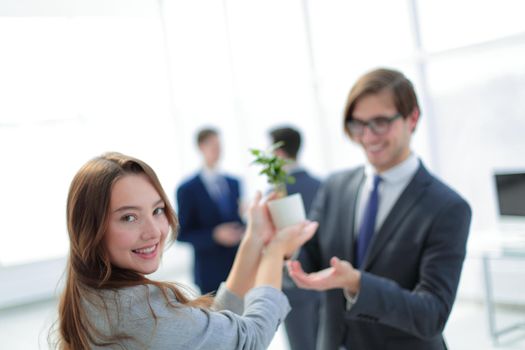 seedling in the hands of a business woman .photo with copy space