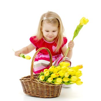 Charming little girl with a basket of flowers. Concept of holiday, summer mood. Isolated on white background.