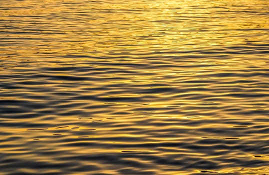 Golden sea waves in sunset glow as surface background. Summer holidays and coastal nature concept